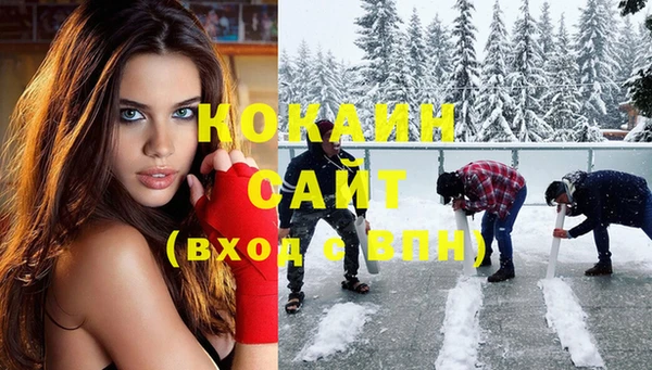 шишки Бежецк
