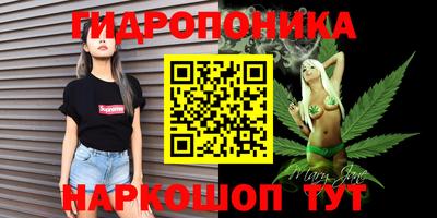 стаф Владивосток
