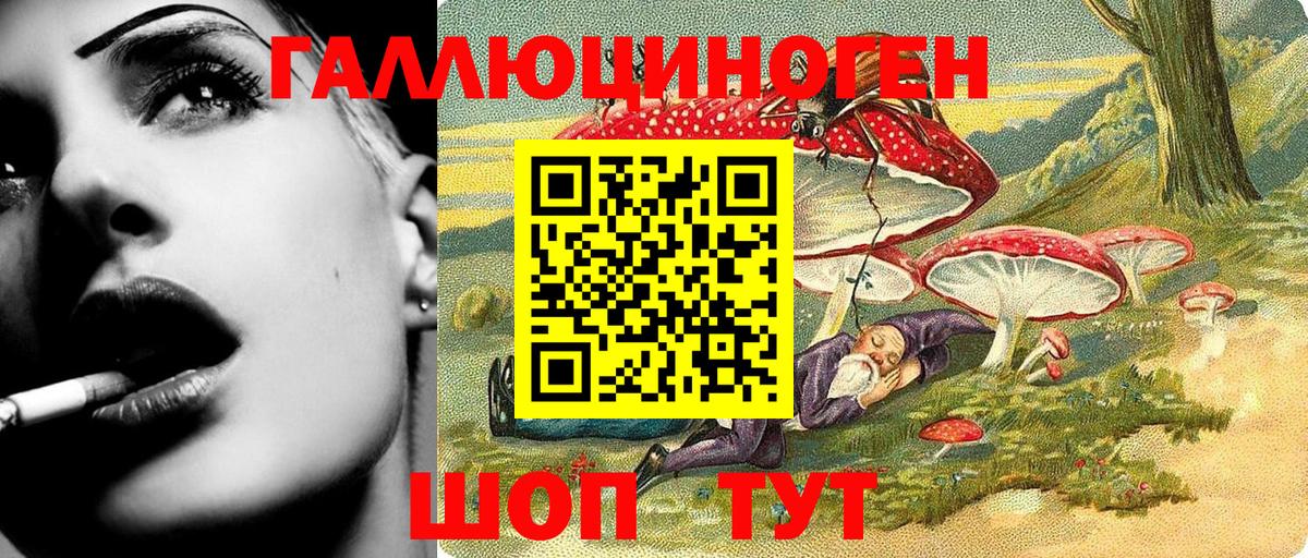 Новокузнецк  Псилоцибиновые грибы Psilocybe  Вход с VPN 